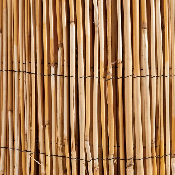 WERKAPRO - Canisse en roseau naturel  2 x 5 m - large