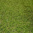 WERKAPRO - Gazon artificiel 2cm  100% recyclable en rouleau de 180cm de large 1,8 x 3 m (env. 5,4m²) - vignette