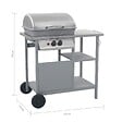 VIDAXL - vidaXL Barbecue à gaz avec tablette à 3 couches Noir et argenté - vignette