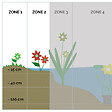 BLOOMIQUE - Lot de 6 - Iris Kaempferi - Iris du Japon - Violet - Plantes de bassin - H. 20-30 cm - P. 9 cm - vignette