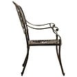 VIDAXL - vidaXL Chaises de jardin lot de 2 Aluminium coulé Bronze - vignette