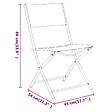 VIDAXL - vidaXL Chaises d'extérieur pliables lot de 2 Noir Acier et textilène - vignette