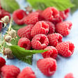 BLOOMIQUE - 2x Rubus Idaeus 'Héritage' - Framboos Plant - Fruitplanten - Tuinplanten - Rustique - P. 14 cm - vignette