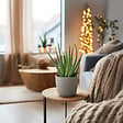 PLANT IN A BOX - Aloe vera - Set de 2 - Aloe barbadensis - Hauteur 25-40cm - ⌀10,5cm - vignette