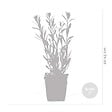 BLOOMIQUE - Lot de 3 - Gaura Lindheimeri - Gaura - Plantes de jardin - Rustique - H. 10-20 cm - P. 9x9 cm - vignette