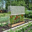 ID MARKET - Serre à tomates spéciale croissance kit complet bâche + support - vignette