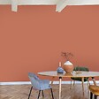 99DECO - Peinture Mur Velours - Terracotta - Interieur - 2,5l - vignette
