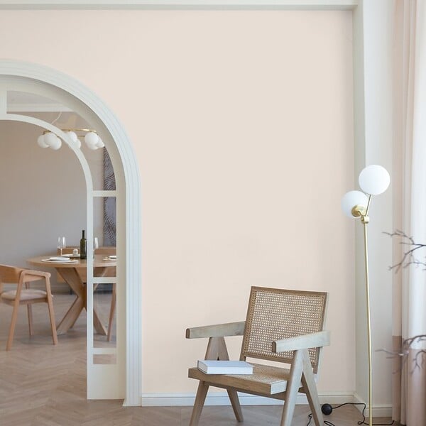 99DECO - Peinture Mur Velours - Nacre Rose - Interieur - 2,5l - large