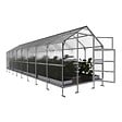 KLASIKA GREENHOUSES - Serre de jardin KLASIKA BERNARD 2,35 x 8 m (18,8 m²), 4 mm avec revêtement en polycarbonate - vignette