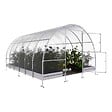 KLASIKA GREENHOUSES - Serre de jardin KLASIKA EASY 3 x 4 m (12 m²), 4 mm avec revêtement en polycarbonate - vignette