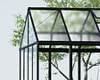 CANOPIA - Canopia Serre de jardin Aria 14 m² Noire - vignette