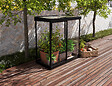 CANOPIA - Serre de jardin Ivy Noire - vignette
