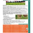 KIMITEC - Biostimulant racinaire Deep Root Pro 0,5 kg pour gazon, arbres, fleurs - Kimitec NEG00997 - vignette