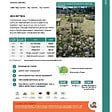 FLORIVERT - Gazon à semer Terra Terre Pierre 5 kg résistant au sec, idéal pour pelouses durables - Florivert 1206461 - vignette