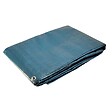 UNIVERS DU PRO - Bâche plastique 6 x 10 m Bleue et Verte Etanche polyéthylène 150g/m² - vignette