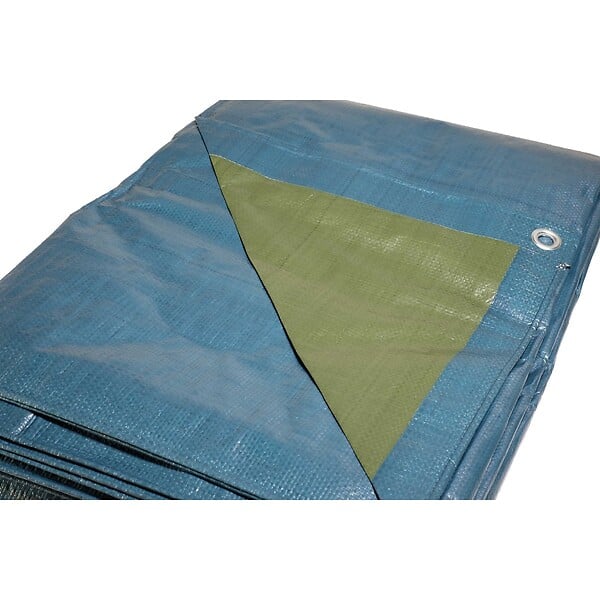 UNIVERS DU PRO - Bâche plastique 6 x 10 m Bleue et Verte Etanche polyéthylène 150g/m² - large