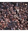 RACINE - Fertilisant naturel en coque de cacao - sac de 100 litres pour 3m² - vignette