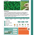 FLORIVERT - Trèfle micro-feuille gazonnant, résistant sécheresse, 1 kg, 200-350 m² - Florivert 1206296 - vignette