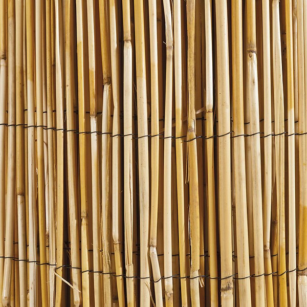 WERKAPRO - Canisse en roseau naturel  1,5 x 10 m - large