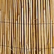 WERKAPRO - Canisse en roseau naturel  1,5 x 10 m - vignette