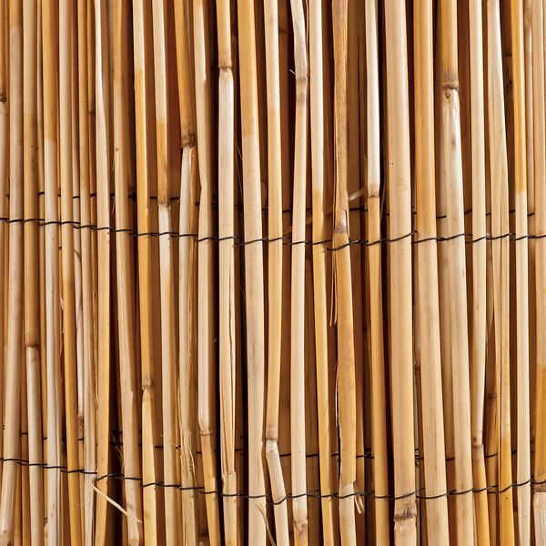 WERKAPRO - Canisse en roseau naturel  1,5 x 5 m - large