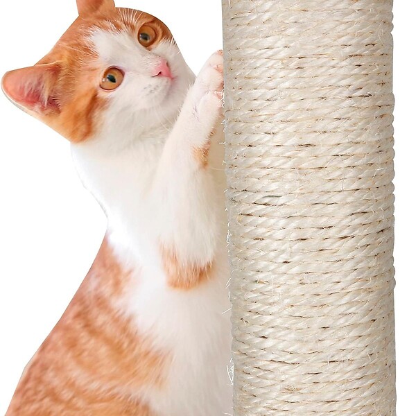 KZ GARDEN - Arbre à Chat Hauteur 62 cm 3 Plateformes perchées Griffoir Sisal Corde de Jeu Tour à griffer Perchoir - large