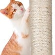 KZ GARDEN - Arbre à Chat Hauteur 62 cm 3 Plateformes perchées Griffoir Sisal Corde de Jeu Tour à griffer Perchoir - vignette