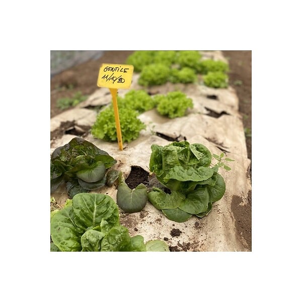 KZ GARDEN - Pack de 2 Toiles de paillage Papier Autodégradable Kraft 0.9 x 20m Paillage pour Jardin Anti mauvaises herbes 100% Cellulose - large