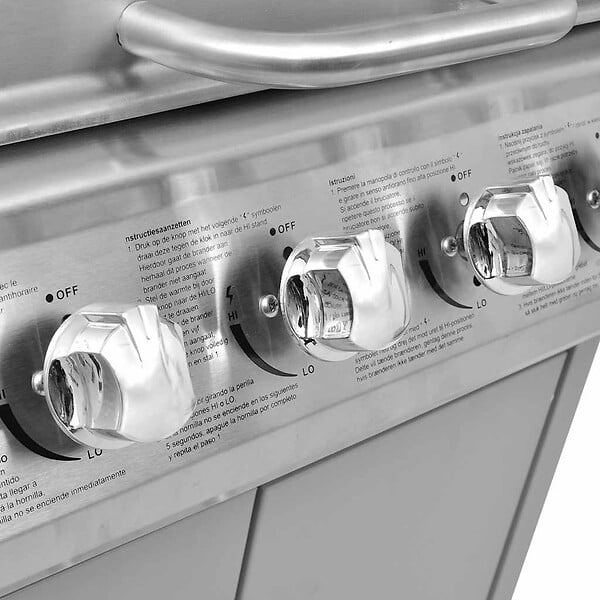 VIDAXL - vidaXL Barbecue à gaz 4 + 1 zone de cuisson Argenté - large