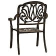 VIDAXL - vidaXL Chaises de jardin lot de 2 Aluminium coulé Bronze - vignette