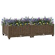 VIDAXL - vidaXL Lit surélevé 80x40x23 cm Polypropylène - vignette