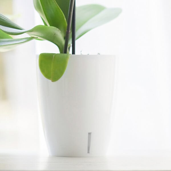 GT GARDEN - Lot de 3 pots pour orchidées avec réserve d'eau - Orchidea blanc 2 litres - large