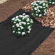 ID MARKET - Lot de 30 agrafes pour toile de paillage 10 CM - vignette