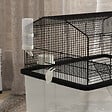 PAWHUT - Cage rongeur hamster 2 étages - roulettes, plateforme, échelle, accessoires - PP transparent acier noir - vignette