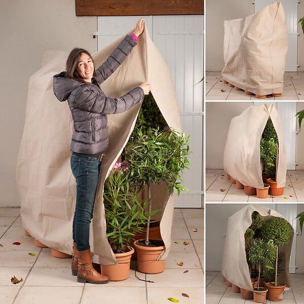 ID MARKET - Housse d'hivernage pour plante et arbuste 200 x 240 cm - large