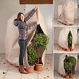 ID MARKET - Housse d'hivernage pour plante et arbuste 200 x 240 cm - vignette