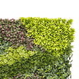 NORTENE - Panneau décoratif feuillage synthétique et motif zigzag COSTA - 1x1m - Vert - vignette