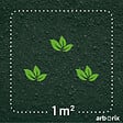 ARBORIX - Rosa 'Pullman Orient Express' - Tige - Rosa 'Pullman Orient Express'® - vignette