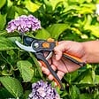 BLACK+DECKER - Sécateur de jardin Lame en Acier Trempé 20.3cm - Ciseaux de Jardin Coupe 13mm Plantes, Haies et Fleurs  Black&Decker - vignette
