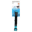FIDELAMI - collier silencieux turquoise m - vignette
