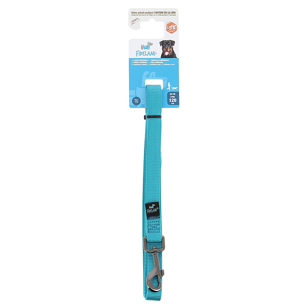 FIDELAMI - laisse universelle turquoise - large