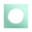 DEBFLEX - DEBFLEX - CASUAL EVO PLAQUE DE FINITION 1 POSTE VERT D'EAU - vignette