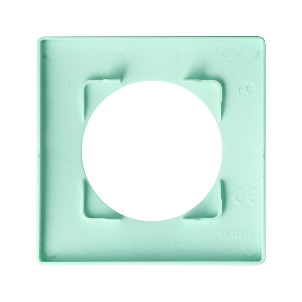 DEBFLEX - DEBFLEX - CASUAL EVO PLAQUE DE FINITION 1 POSTE VERT D'EAU - large