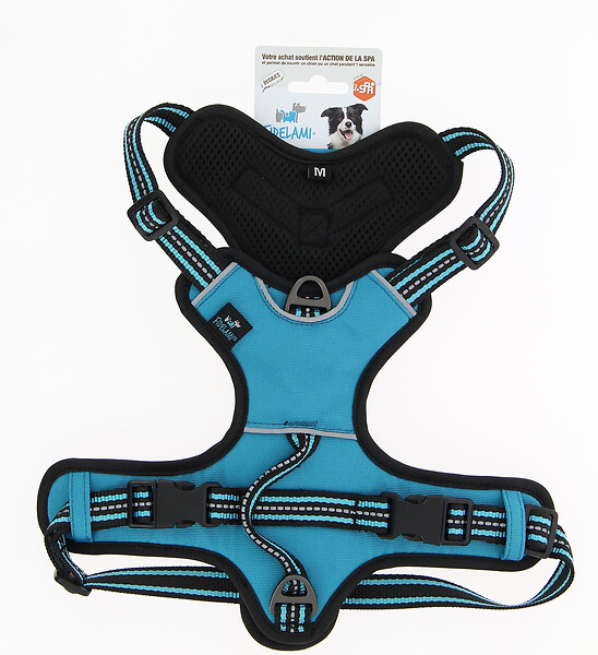 FIDELAMI - harnais dynamic m turquoise - large