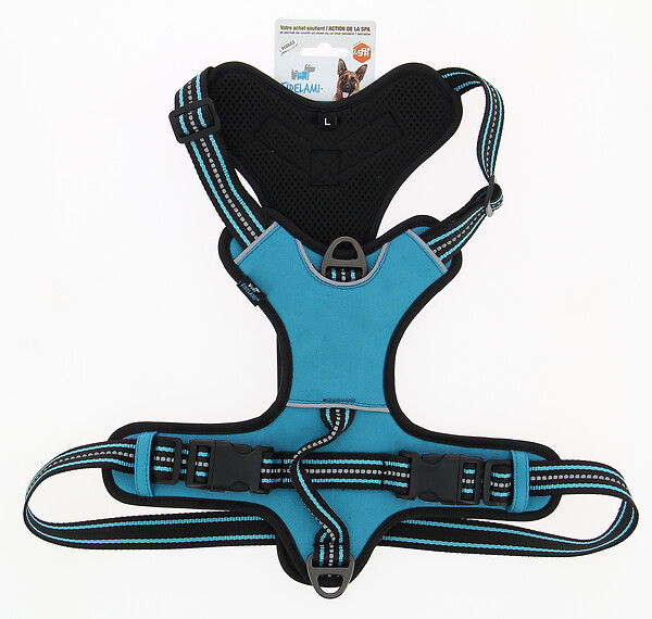 FIDELAMI - harnais dynamic l turquoise - large