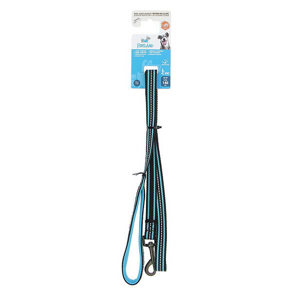 FIDELAMI - laisse dynacool turquoise - large