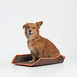 FIDELAMI - tapis modulable - vignette