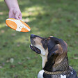 FIDELAMI - frisbee pour chien - vignette