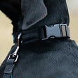 FIDELAMI - collier silencieux gris s - vignette