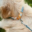 FIDELAMI - collier bicolore coton s - vignette